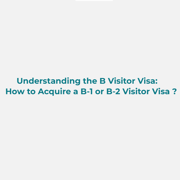 Understanding the B Visitor Visa